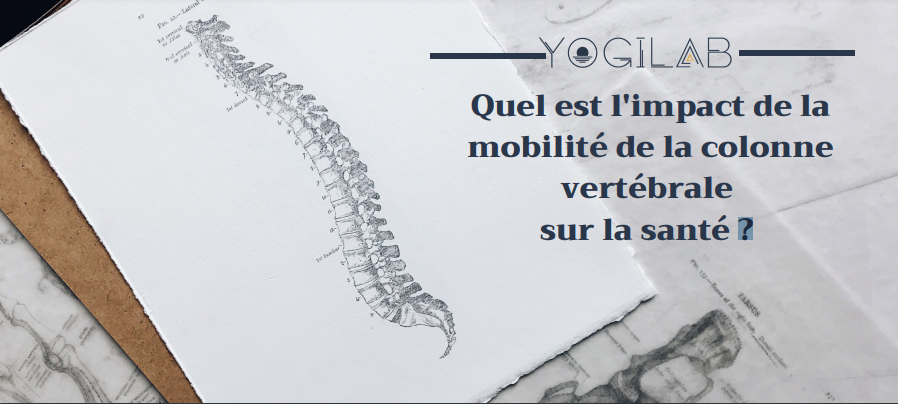 Quel est l’impact de la mobilité de la colonne vertébrale  sur la santé ?