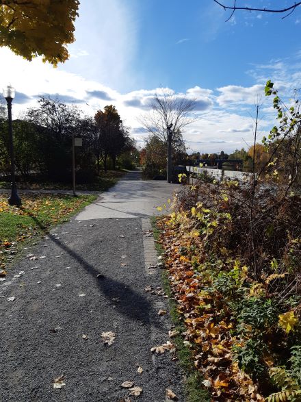 Courir avec son enfant 